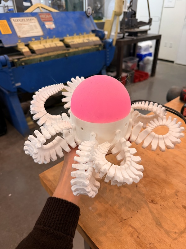 Final Project Ideas Thumbnail